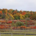 Πάρκο διακοπών Nordic Park 3*
