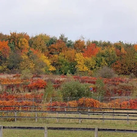 Üdülőpark Nordic Park 3*