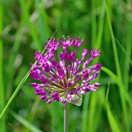 Nordic Park Aldeamento Turístico 3*