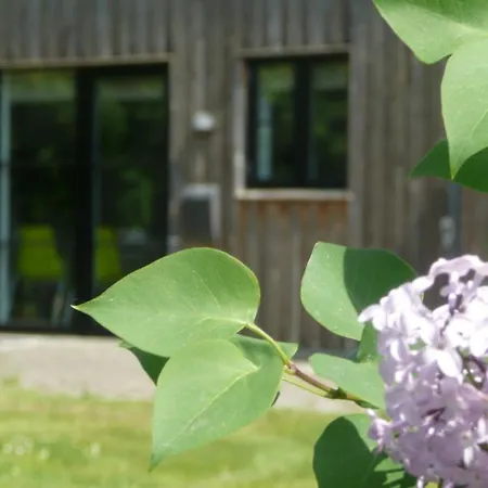 Üdülőpark Nordic Park 3*