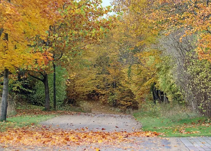 北欧公园公寓 3*