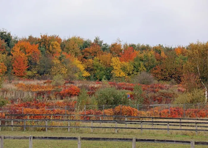 База отдыха Nordic Park 3*
