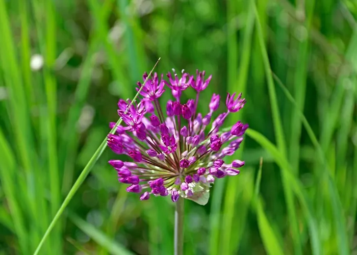 Nordic Park База отдыха 3*