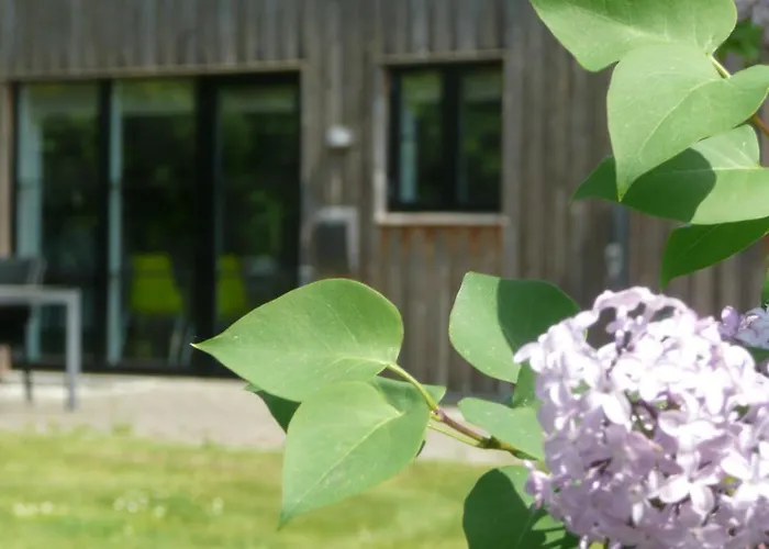 假日公园 北欧公园公寓 3*